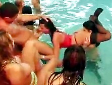 Mad Sex Party - Pool-(384p)