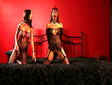 Smooth lesbian BDSM games grant these fabulous chicks the best outcome