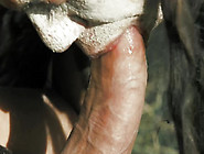 Dirty Indian threesome with Evan Stone and Tiffany Doll