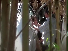 Business man spied with a prostitute