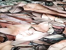 DeshiMixed PublicPlace Sejoli ABG Asyik Ngentot Di Kebun Video Viral