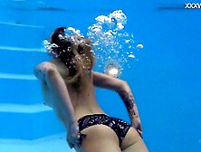 Underwater Show - public scene