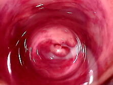 The hottest pussy spreading and internal camera in Mia's creamy vagina