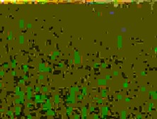 hidden,  spycam,  peeping,  window,  peeping tom,  voy,