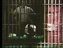 The Usa XXX of the Past - the Real Unforgettable - Vol.  01