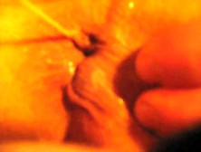 Liebeskugeln im Arsch II