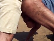 Bareback Outdoor Adventure With A Stranger On A Du