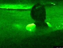 Night Vision Voyeur
