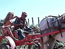 Beautiful and hot blonde with a big tail moaning and enjoying giving her pussy and very tasty spit on the farm: Porn