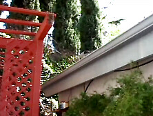 SHYLA STYLES:"Giant Stallion Breaks My BEHIND"