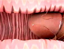 ◆ Dirty-Talking Professor Teaches Sex With Passion & ANAL Creampie