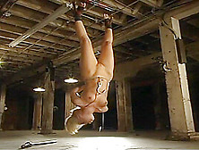 Teasing Hollie Stevens Performing In Bdsm Action