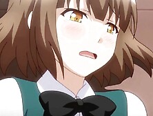 Cute anime schoolgirl is being fucked in this adult cartoon
