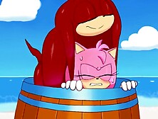 Knuckles bangs Amy and cucks Sonic!