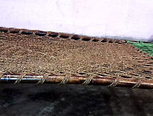 fuck with her student