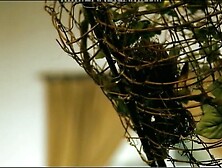 Katie Lynn Hall.  Ra Scene