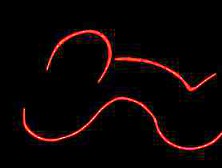 The Torment of Denial - Audio story