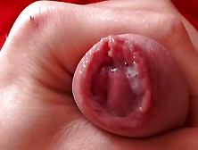 Full Hd Uncutted Foreskin Play With Precum