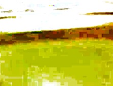 Asian Babes - Wet & Wild Fashion Show