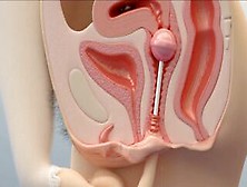 Lustful 3d teenie uses various kinky toys for solo masturbation