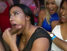 Clothed party skanks suck