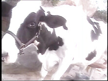 Gottinnen Der Lust 2 - Episode 1