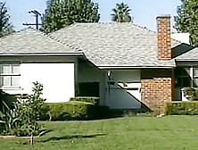 Victoria Givens,  Lauren Phoenix,  Rebecca Love,  Savanna Samson