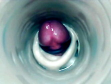 Strange internal twat online cam