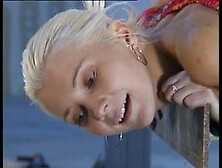 Petra Pauli anal fucked