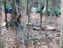 The forest nympho roleplay action.  i'm the stranger that busts her and gets lucky !!!