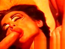 Las tortugas pinjas 3