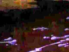 Ghostbusters Monsters Abducted and Force Fucked Cute Brunette Girl 60 Fps