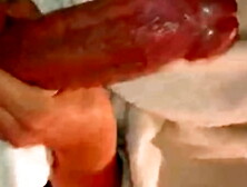 Goiâninha puta..  galego fonso vai deixa-la de pernas abertas.  pra arregaça a buceta da puta fazendo ela goza por várias vezes s