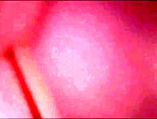 659 (02) - Dressed in my Satin Rose Suit,  Ebony & Gold Belt