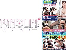 818mgnl-050 Highly Educated Girls Who Are Aspiring To Be Announcer!while Reading The Manu,  Fingering & Toy Blame Durability!] Se