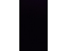 Dirty talk SM training wife