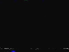 Back For More Canadian Beaver