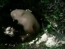 Danielle Dugas Breasts,   Bush Scene  in Blue Movie