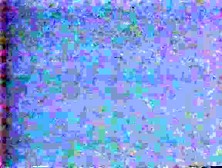 For God's Sake - The Holy stick