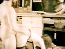 Snack For Heavy-Handed Carpenter