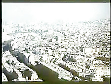 Vintage italian stravaganze bestiali