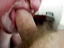 Daddy Bear Sucking Cock 20