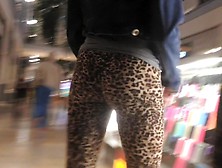 Trying to catch the jaguar