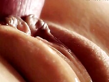 Extremely Close-Up Pussy Fucking Porn