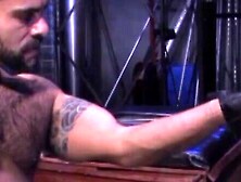 Fury in the Furry Hole