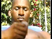 Black Gay Cock Wanking Under The Sun