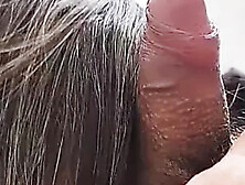 Stepmom Gets Her Ass Filled With Cum After Long Time No Sex - LicenciadaAnn