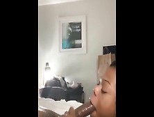 Ebony Thot Sucking Bbc