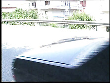 Le Vacche-anziere (Full Video)