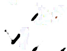 RELOAD Waka Waka Blacks are coming Cutie Wicky gets 5 BBC Balls unfathomable anal, DAP, Gapes, Creampie GIO1080m